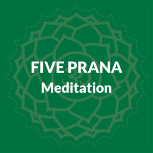 Five Prana Meditation