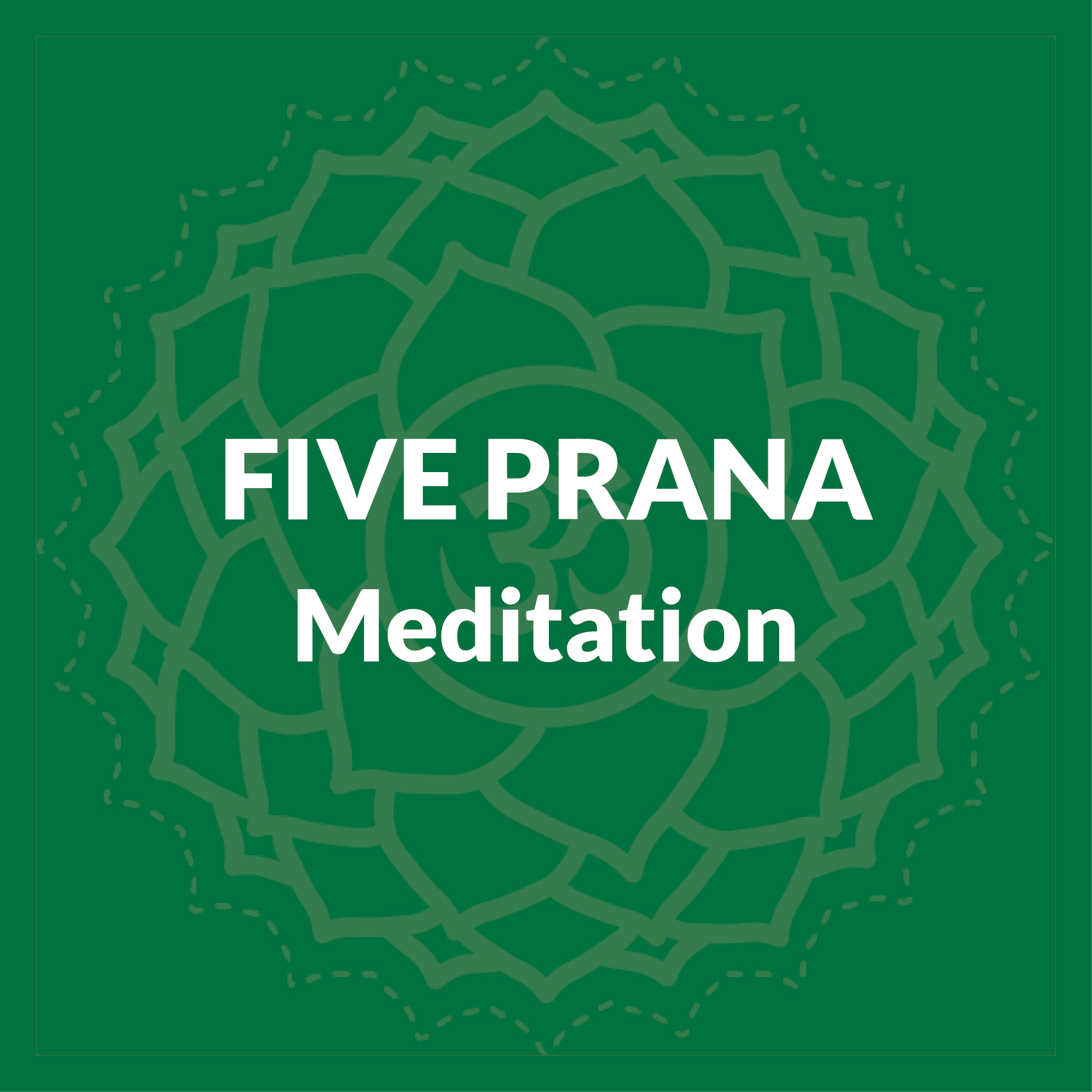 Five Prana Meditation