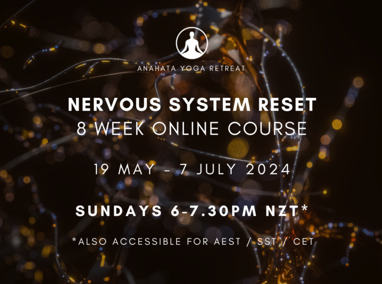 Nervous System Reset 2024