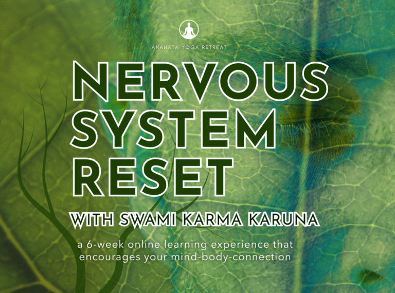 Nervous System Reset