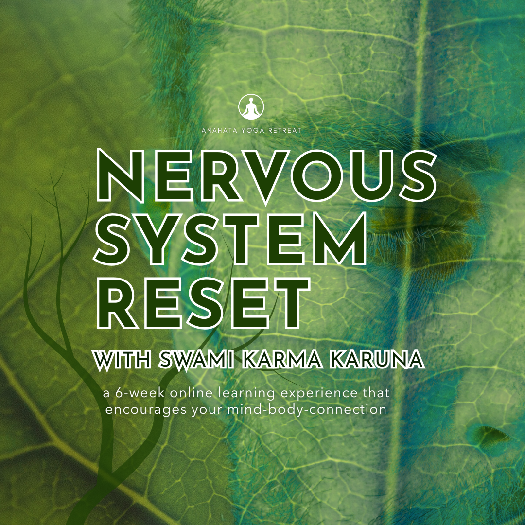 nervous system reset
